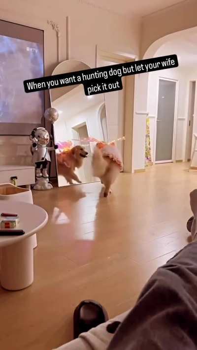 Fofo