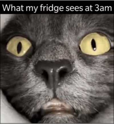 My fridge almost dies of heart attack everyday at 3am.