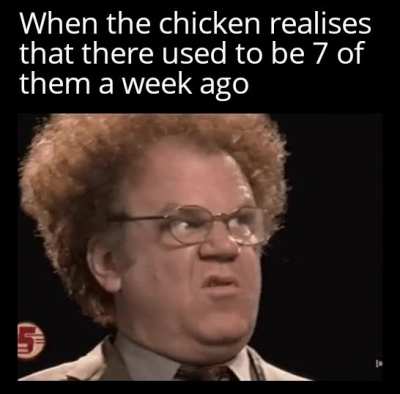 Where are they