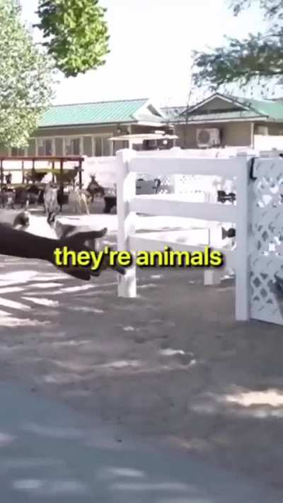 Clam zoo