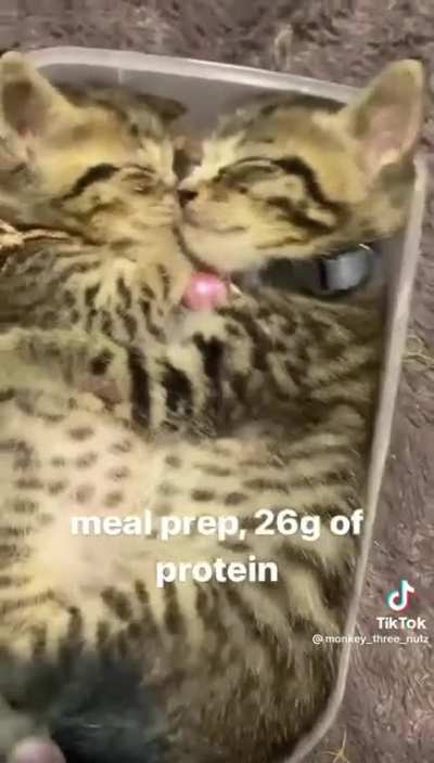 nom