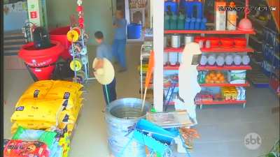Uma arma nas m&atilde;os de uma pessoa decente sempre pode salvar vidas