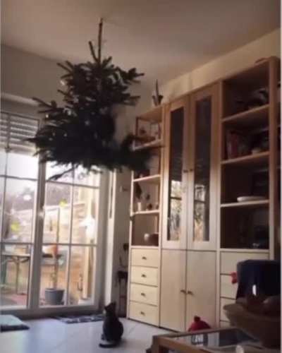 A jolly jump