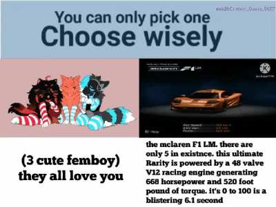 furry_irl