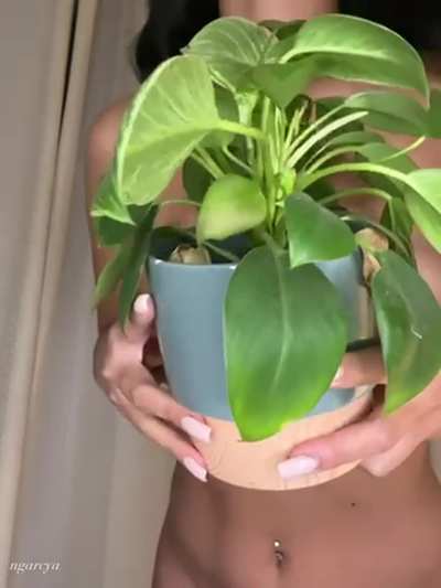 wanna see what&rsquo;s behind my bush?