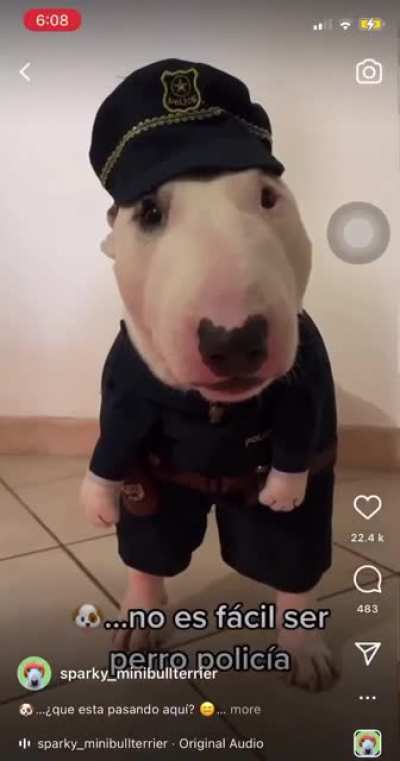 The good cop