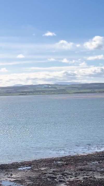 Visited Holy Island today. Dr Kelson is at work
