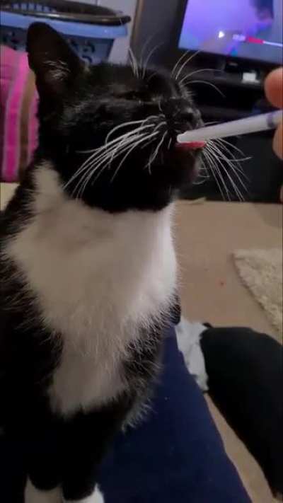 Bruce taking his medicine like a good boy!