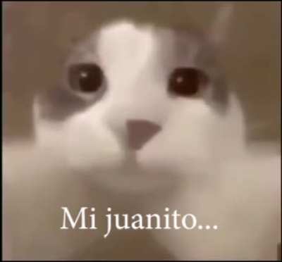 &amp;lt;3