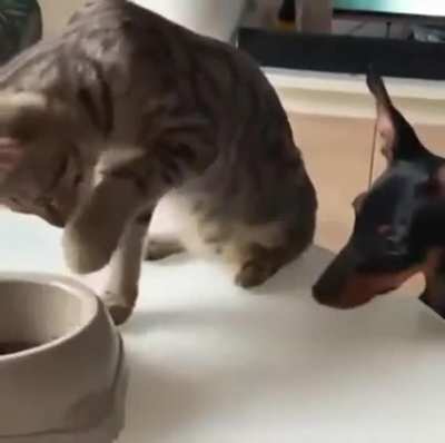 Alright, you may have just one.