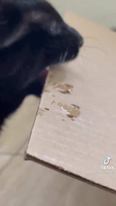 Cronch