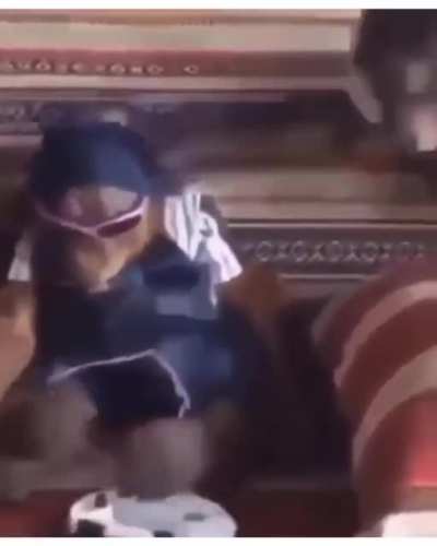 Happy monke &amp;gt; sad monke
