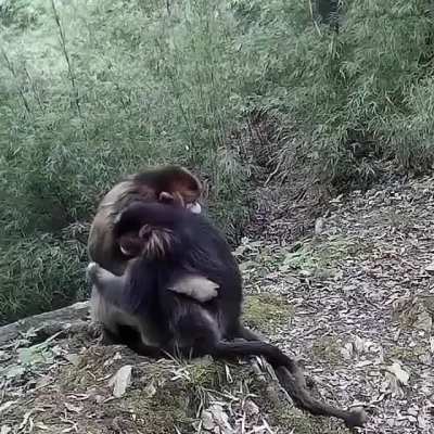 Sometimes in life you just need a hug. No words. No advice. Just a hug to make you feel better.