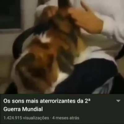 Fofo widepeepoHappy