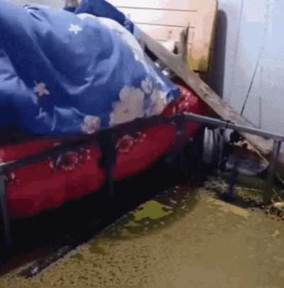 He is just sleeping...
