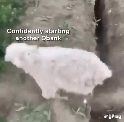 Rinse and Repeat