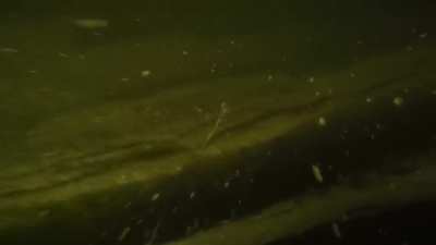 Dropping my GoPro in the bottom of a lake...