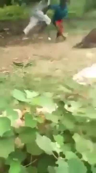 up you go