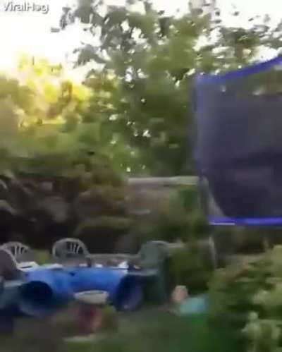 Just a happy dog playing in the water , Wait what the ....
