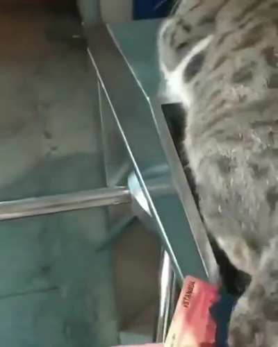 Do not disturb me with your card! Thanks