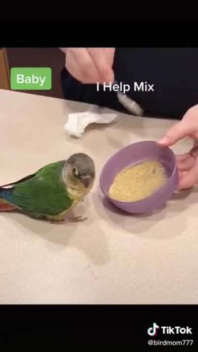 Watch until the end... too cute! (And yes I know I'm going to get the "dELeTe TiKtOk" talk)