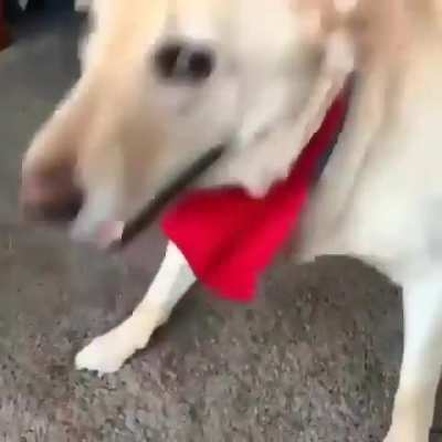 Little Dance