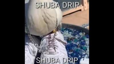 She got da drips