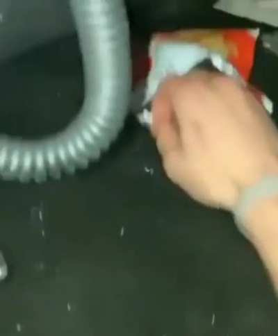 ele t&aacute; curtindo o momento