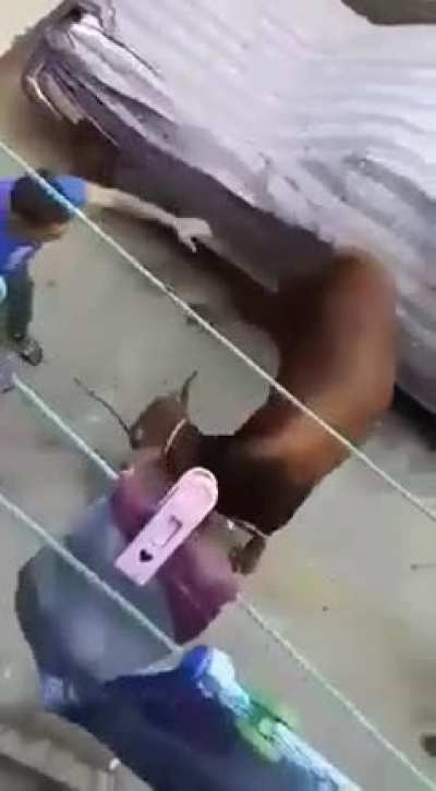 Hmmm... You wanna Mess with me bro