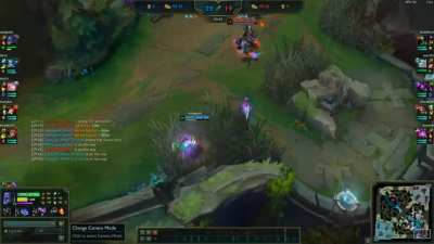 Gold Macro in a Nutshell - One of the Biggest Baits of My Career