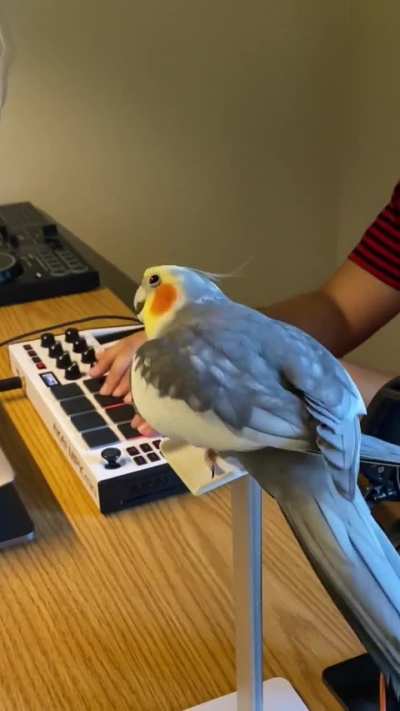 Yums said , and i quote this , "let me get on this beat " 