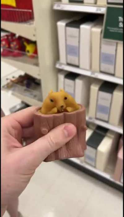 what you could possibly need it for.... oh&hellip; yeah...