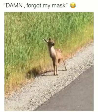 Me, whenever I go out!