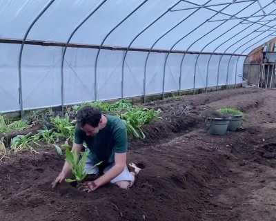 Just a little gardening...