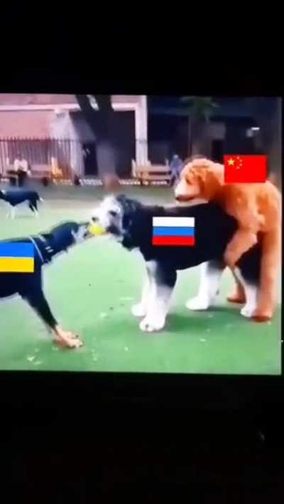 Russian "special military operation" in a nutshell