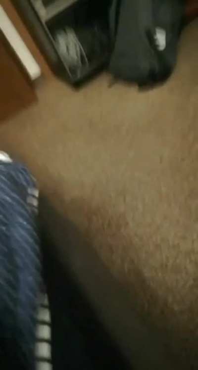 "I know exactly what kind of face she's making" pt.2