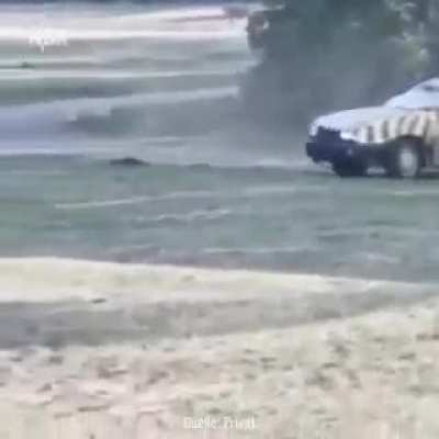 Rhino destroys incoming car with very little ease.