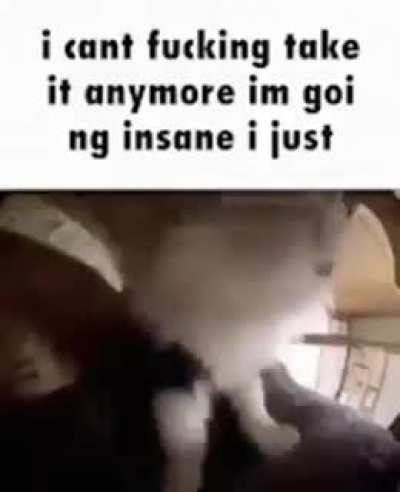 please