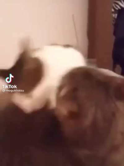 It fits to well