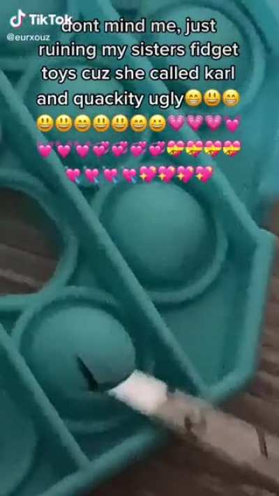 This person Ruined their little Sisters Fidget Toys for a dumb reason somthing that there parents spent money on