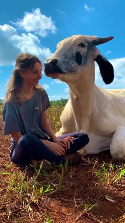 "Good human"