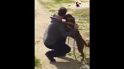 Dog Who&rsquo;d Been Lost For 2 Years Doesn&rsquo;t Realize Dad&rsquo;s Standing Right In Front Of Her.