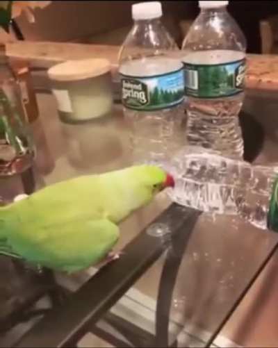 Ele pulandinho