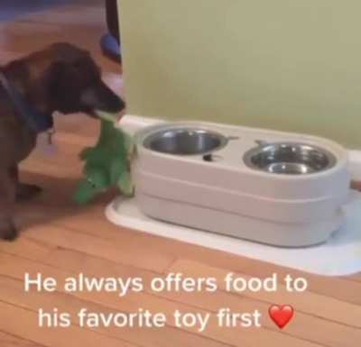favorite toy first