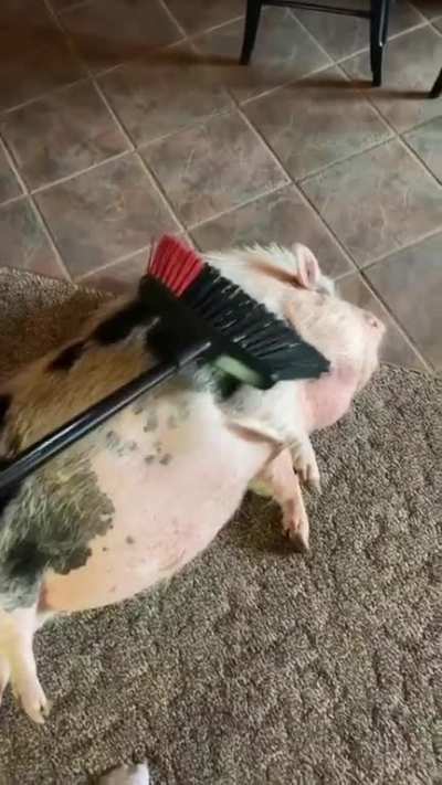 Scratch
