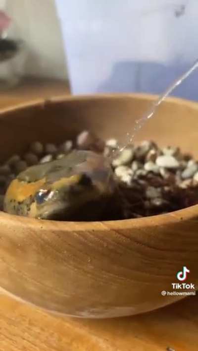 Gotta clean the boi