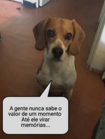 S&aacute;bio primo do Leandro 🙏🏻