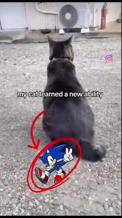 cgahcattkkdnsonnicc
