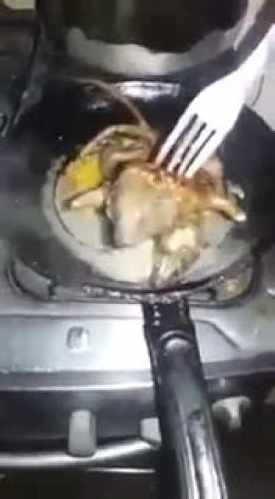 Rule followed, here's supper