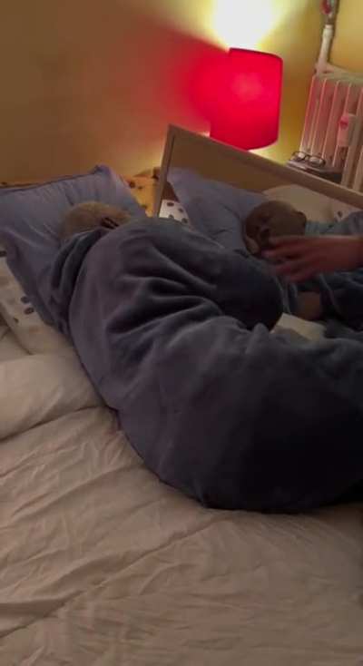 Papa